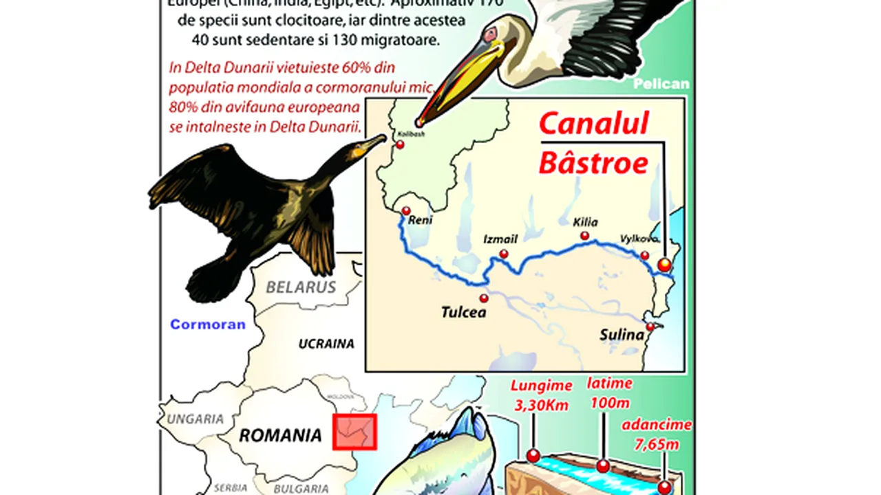 WWF: Canalul Bîstroe este o ameninţare importantă pentru mediu