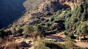 Homo sapiens a migrat din Africa mult mai devreme decât se credea