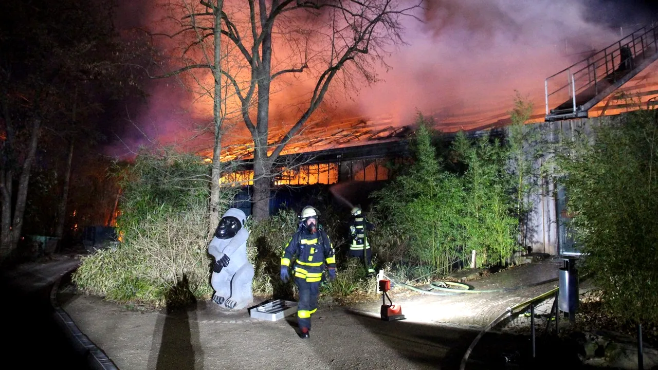 Grădina zoologică din Germania ar fi luat foc de la nişte lampioane. Toate animalele dintr-un sanctuar au pierit în flăcări - VIDEO