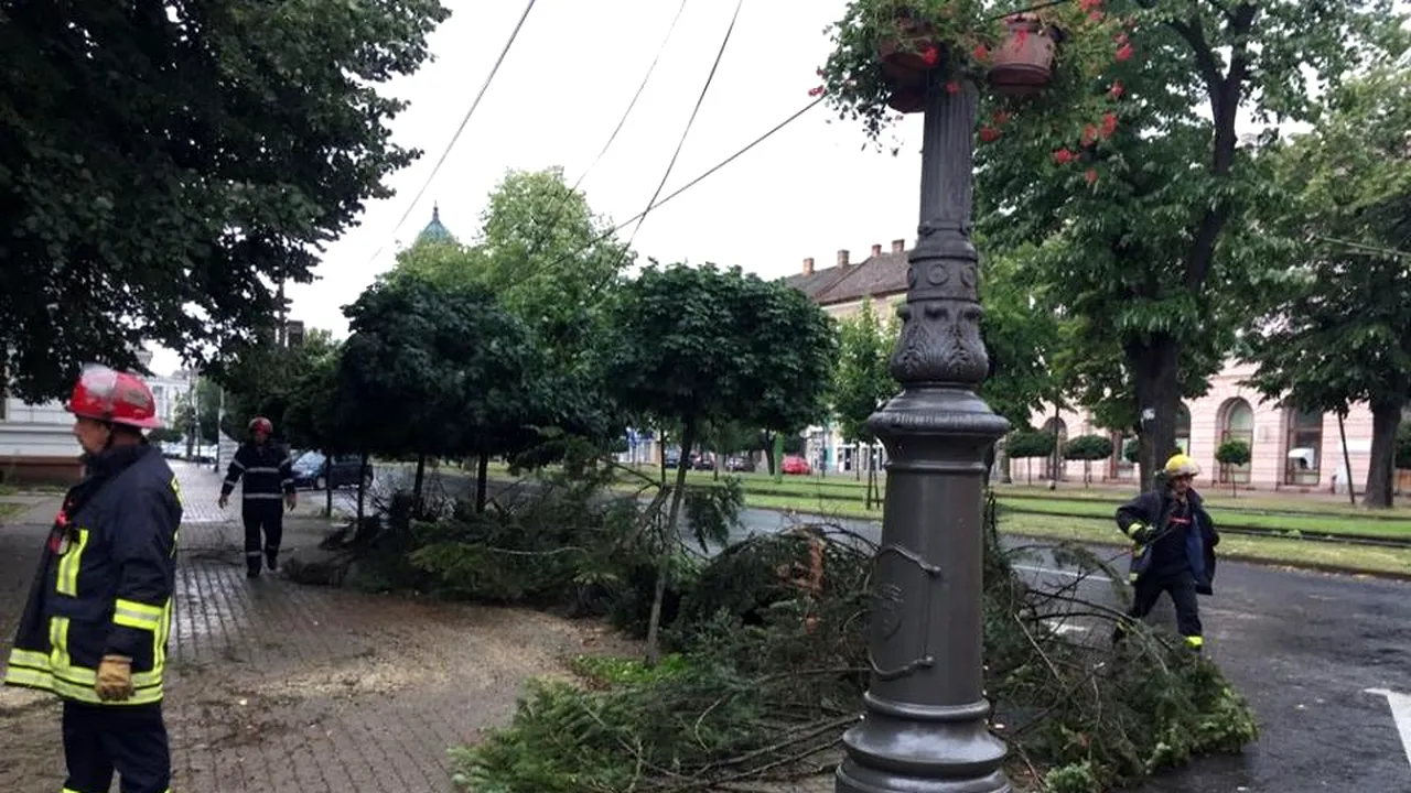 Furtună PUTERNICĂ în Arad, cu acoperişuri smulse şi copaci rupţi - FOTO