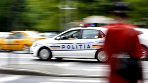 Poliţişti agresaţi la o intervenţie în judeţul Dâmboviţa. Agresorii i-au tăiat cu coasa | VIDEO