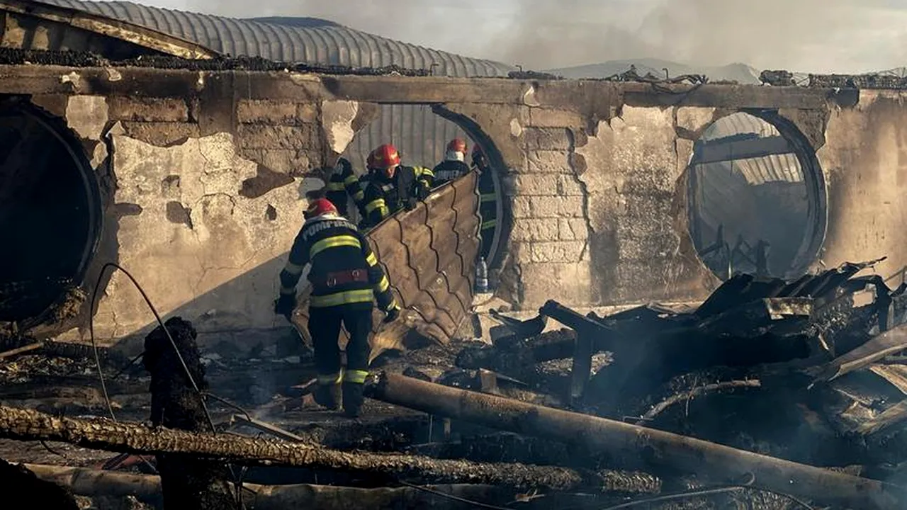 Ferma Dacilor, reacţie după tragedia de Crăciun: Au murit oameni pe care îi iubim cu tot sufletul