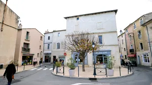 Cinci arestări în Franţa, într-un oraş din care 20 de persoane au plecat la jihad în Siria