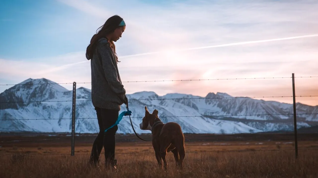 Un veterinar avertizează asupra a cinci rase de câini pe care „nu le-ar alege niciodată”