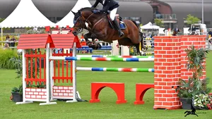 Regatul Cailor organizează cinci competiţii ecvestre anul acesta lângă Bucureşti