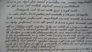 Gândul: Un ieşean a reclamat la poliţie că nu-i face nevasta mâncare