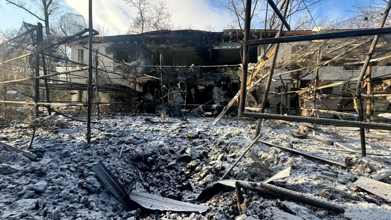 Atac rusesc asupra unui eco-parc de lângă Harkov: lei răniți și zeci de păsări ucise