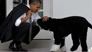 A murit Bo, câinele familiei Obama. Avea 13 ani şi fusese adoptat după alegerile din 2008