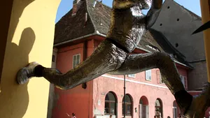 Peste douăzeci de ore de dans la FITS 2008