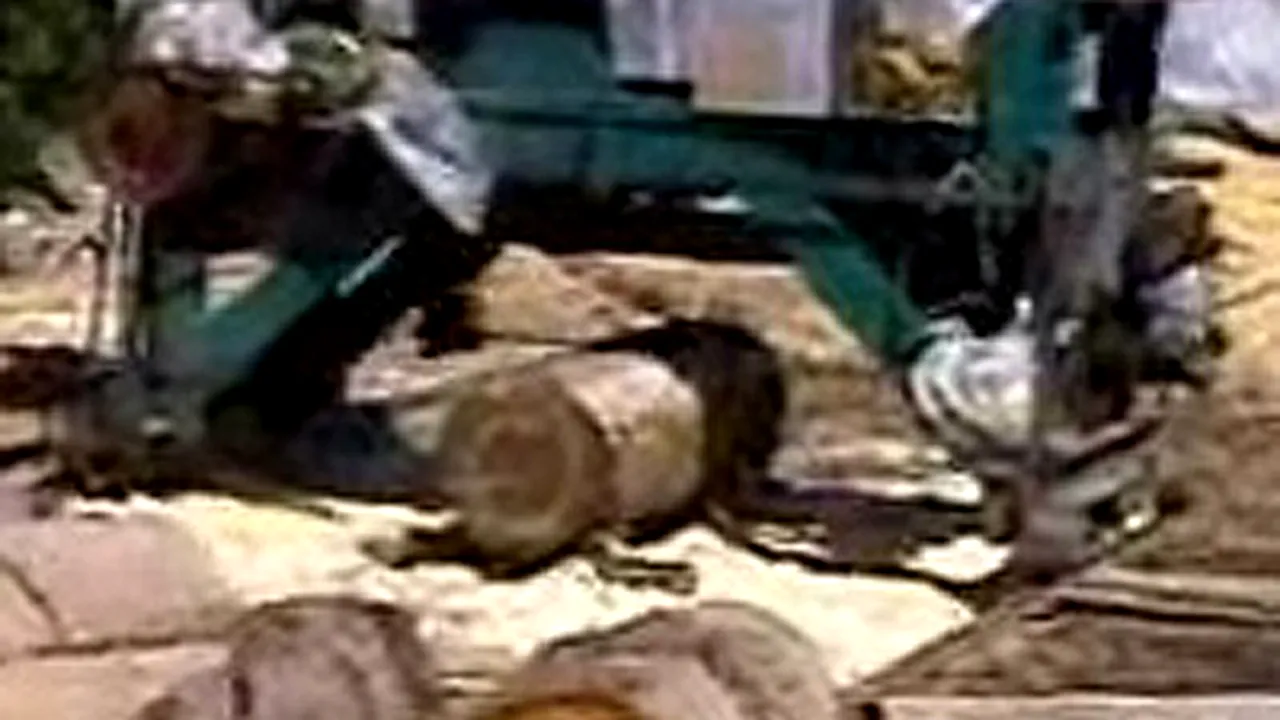 Mână retezată de un gater, replantată de medicii ieşeni (Video)