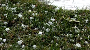 Grindina a făcut ravagii în sudul Republicii Moldova