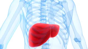 Un ficat virtual, obţinut de cercetătorii europeni