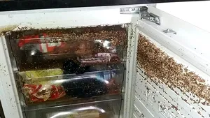 Răzbunarea unui român evacuat dintr-un apartament din Anglia, după ce nu şi-a mai plătit chiria - FOTO