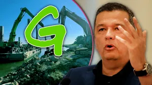 Greenpeace reacționează, după acuzele aduse de Grindeanu: „Sunt nefondate și reprezintă o dezinformare”