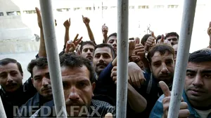 Aproape 850 de persoane au murit în penitenciarele din Siria în 2014 - OSDO