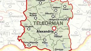 Un nou focar de pestă porcină, în judeţul Teleorman
