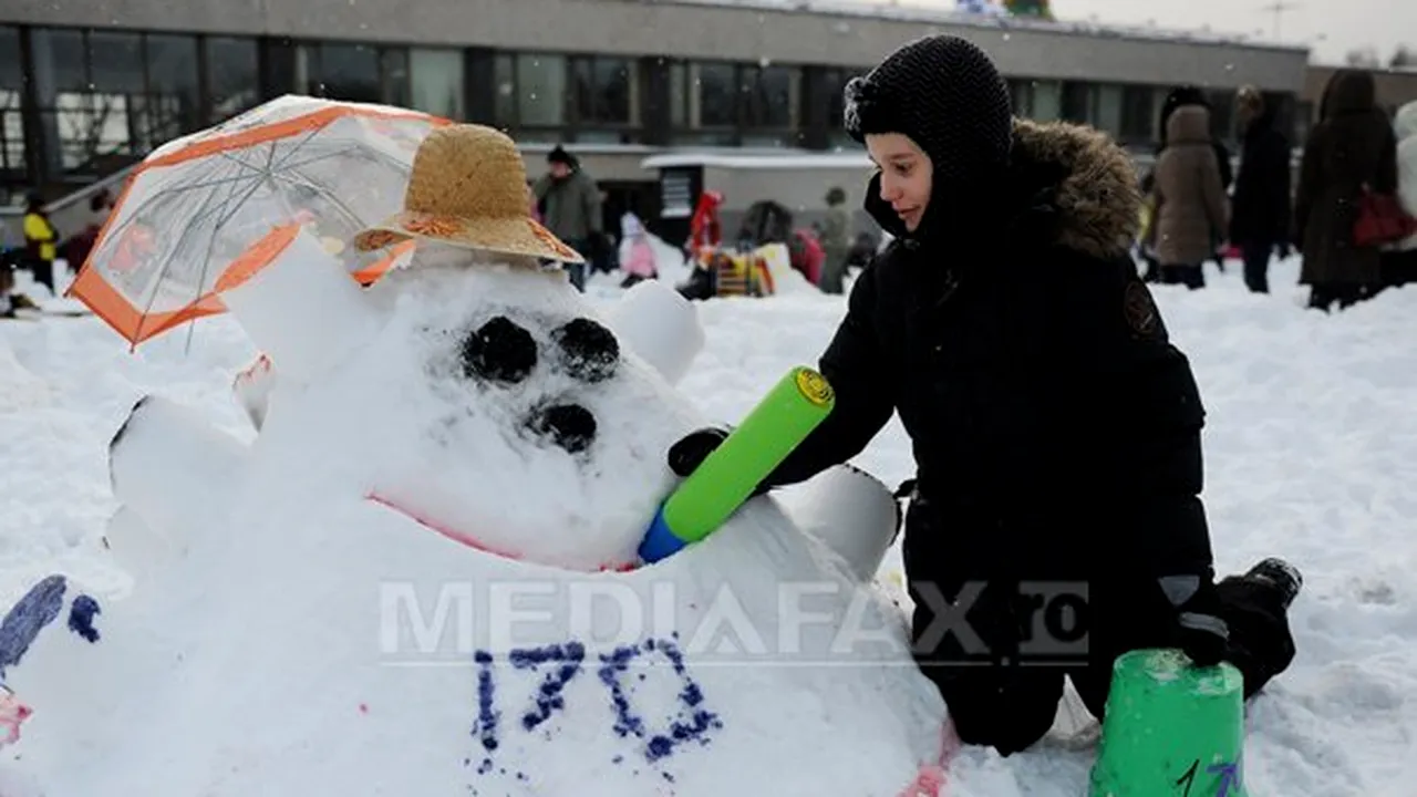 Strat de zăpadă de 50 de centimetri, format la Moscova în urma ninsorilor din ultimele zile
