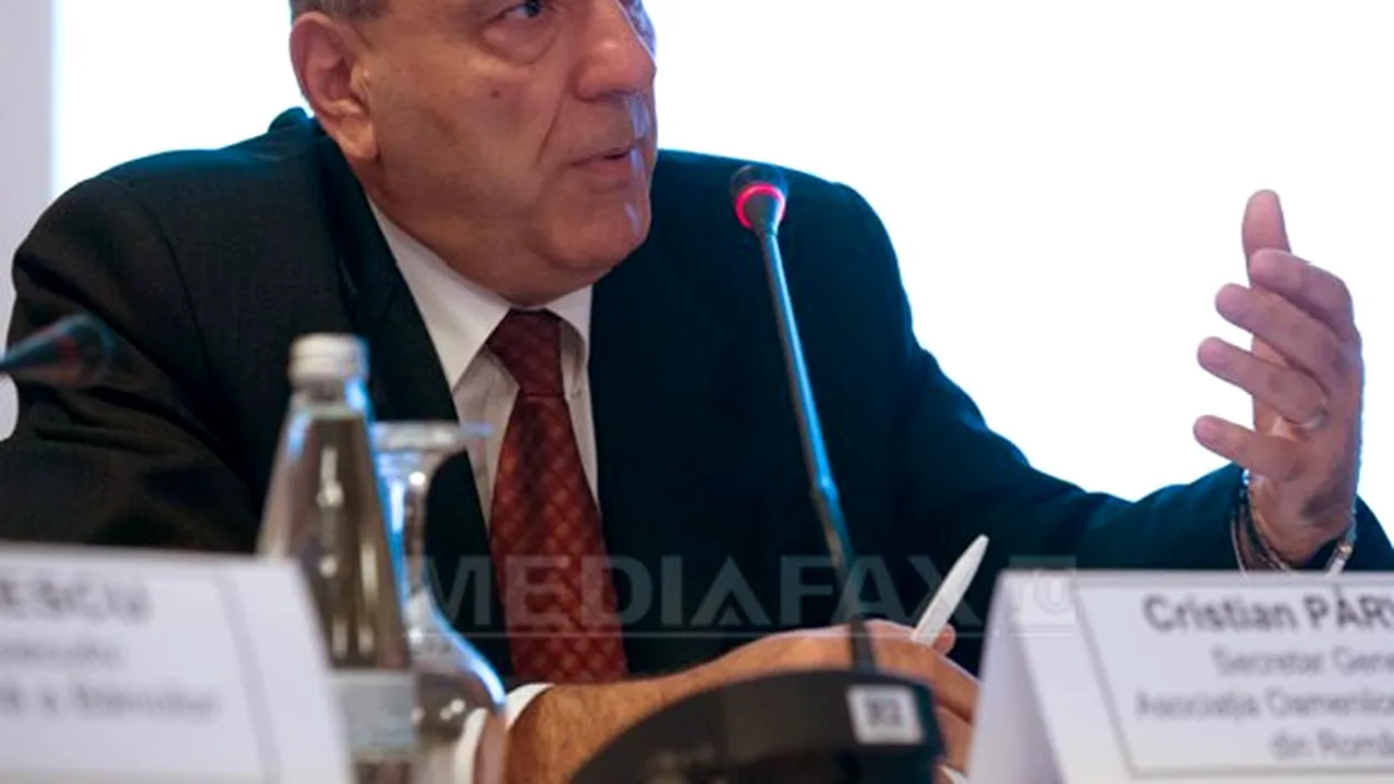 CONFERINŢA MEDIAFAX - Pârvan (Asociaţia Oamenilor de Afaceri din România): Nu banii sunt problema principală a IMM-urilor, ci că nu-şi găsesc locul în economie