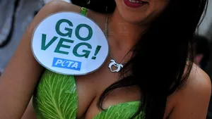PETA vrea să lanseze un site pornografic pentru a apăra drepturile animalelor
