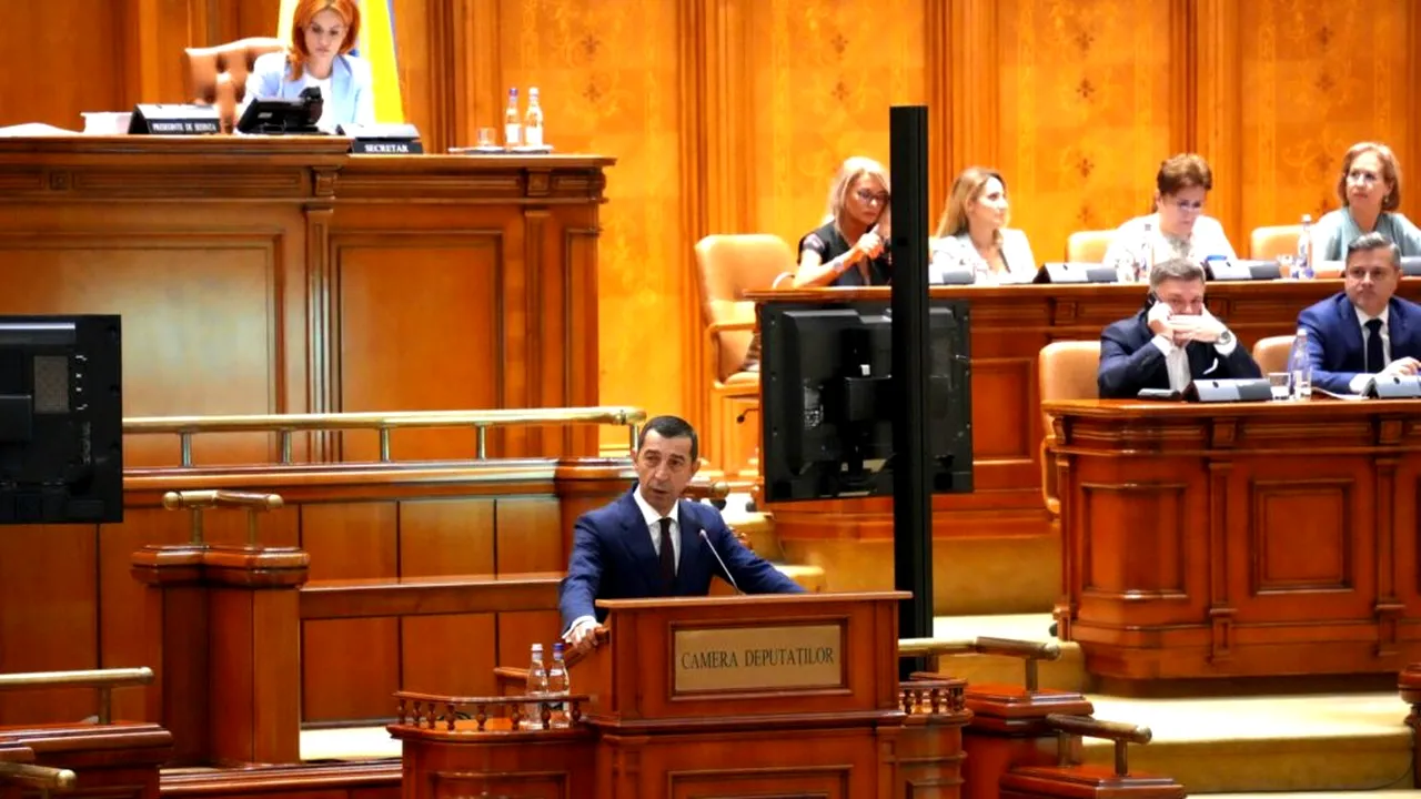 Preşedintele PNL Mureş: Primăriile vor putea externaliza serviciile pentru gestionarea câinilor fără stăpân