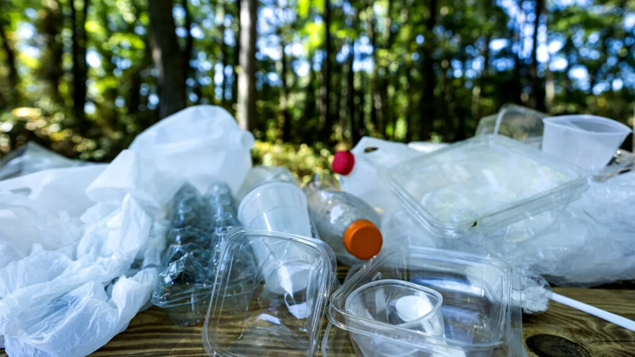 Plastic peste tot, boli peste tot: avertismentul cercetătorilor pentru următorii 15 ani