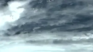 Un reactor nuclear s-a oprit automat în Maryland din cauza rafalelor de vânt ale urganului Irene