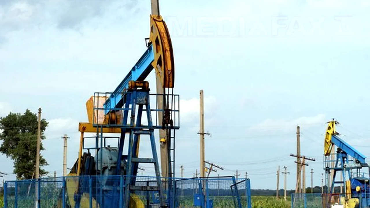 NIS Petrol va începe operaţiunile de explorare a două perimetre petroliere din Timiş