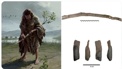 ȘTIINȚĂ Oamenii de știință au descoperit un instrument care ar putea rescrie complet istoria evoluției umane
