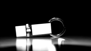 Primăria Capitalei a cumpărat fluiere de aproape 17.000 de euro/ Opoziţia critică achiziţia