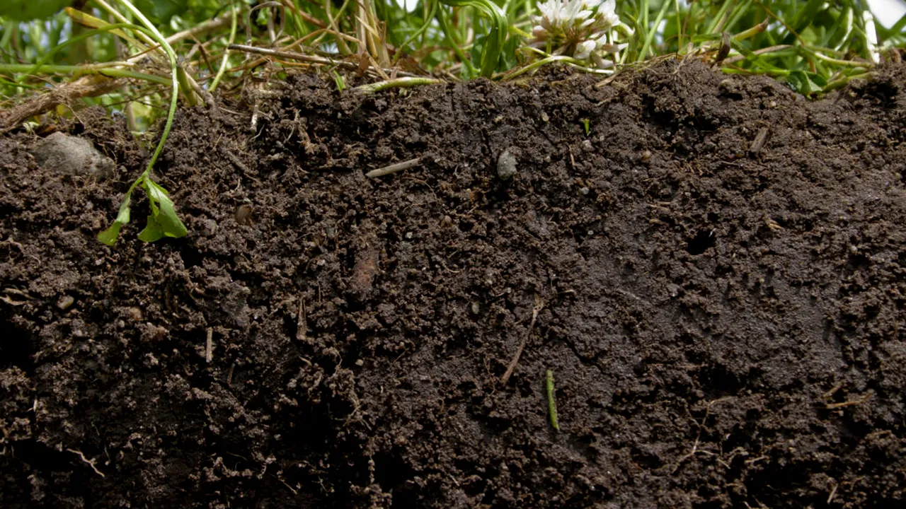 Secretele solului care alimentează inovația în protecția culturilor