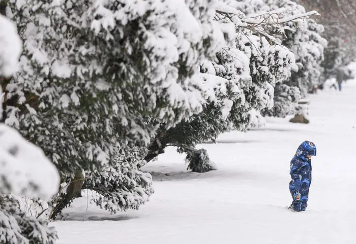 SOCIAL Centrul de Coordonare și Conducere a Intervenției București-Ilfov a fost activat