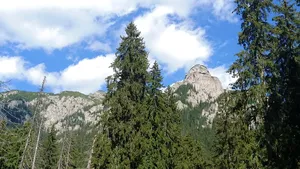 Un turist care a urcat pe munte are nevoie de ajutorul salvamontiştilor, din cauza epuizării: 