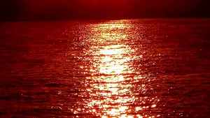 COMENTARIU Lelia Munteanu: Vederea din vis