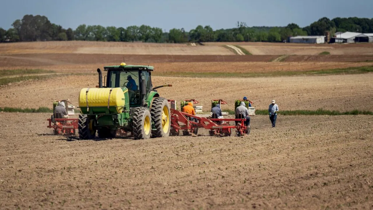 Ucraina vrea cote mai mari pentru exporturile agricole fără taxe în UE. Negocierile cu Bruxelles-ul ar putea începe în septembrie