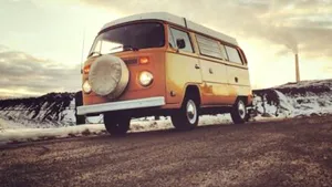 GALERIE INEDITĂ - Poţi să vezi câinele? Fotografii ce-ţi pun la încercare spiritul de observaţie