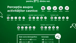 (P) 80% dintre noi considerăm că femeia trebuie să se ocupe de treburile casnice - clasica gospodină