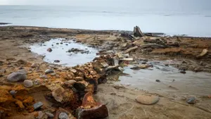 Cimitir străvechi de balene, descoperit sub un ghețar arctic în retragere