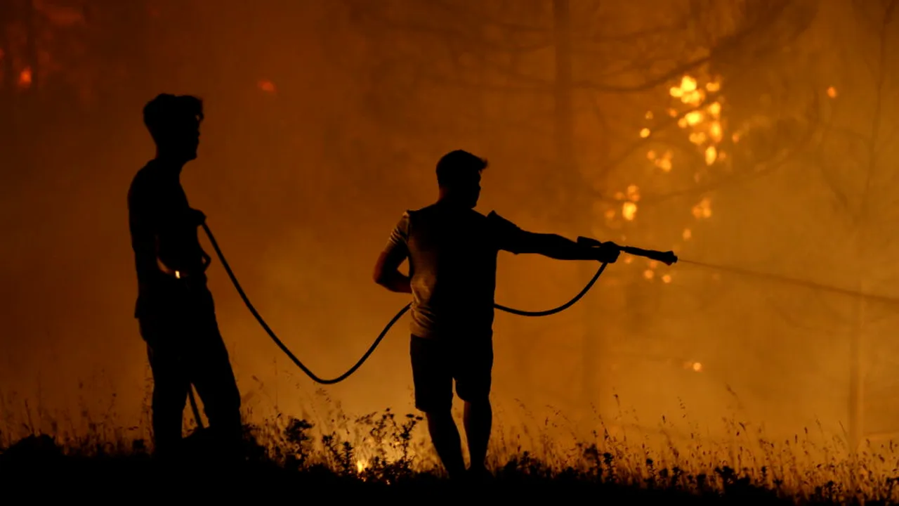 Franța: Inițiativă majoră de regenerare a pădurii Fontainebleau afectată de incendii, după modelul Catedralei Notre-Dame