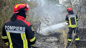 Incendiu de vegetație în Toulouges, Franța. Pompierii români intervin la stingerea lui