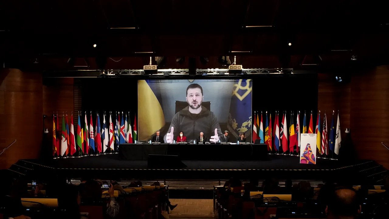 Zelenski a propus Grupului G7 organizarea unui summit pentru pace şi a cerut resurse suplimentare