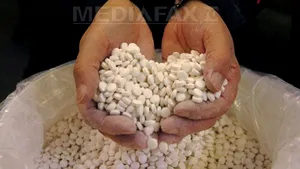 WikiLeaks: SUA, îngrijorate de controlul exercitat de traficanţii de droguri în Africa de Vest