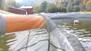 GALERIE FOTO Păstrăvărie de 700.000 euro: peştii primesc hrană ecologică, iar livrarea se face la domiciliu