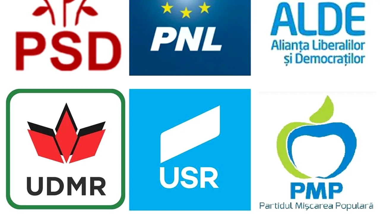 COMENTARIU Lelia Munteanu: La ce sunt bune partidele?
