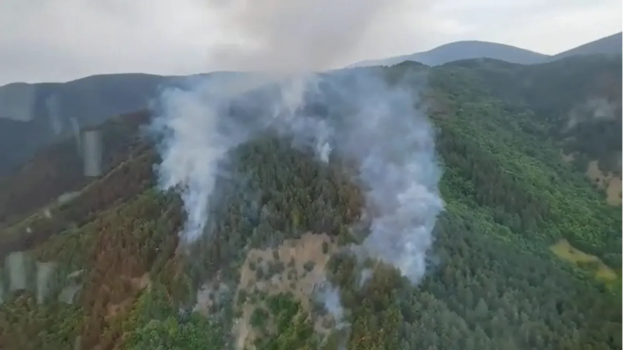 Incendiu de vegetaţie. Intervenţia pompierilor în Parcul Naţional Porţile de Fier, reluată sâmbătă dimineaţa