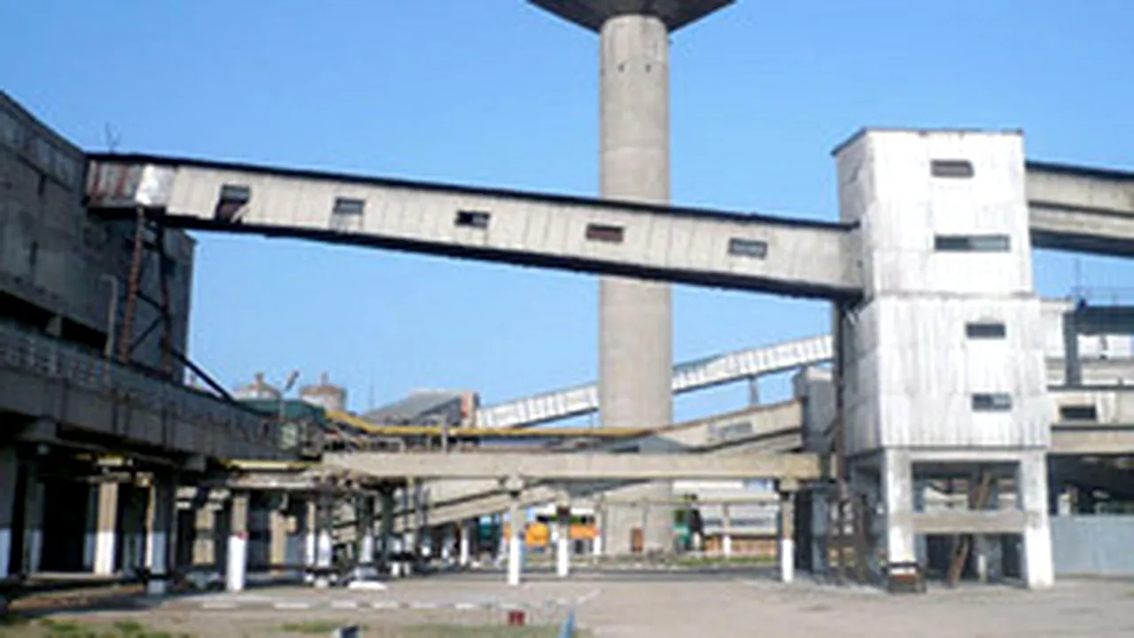 Romanian Amonil Halts Prod, Lays Off 80% Of Employees