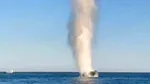 Dronă cu încărcătură explozivă, găsită plutind la cinci mile marine de Sulina. Intervenție a Forțelor Navale