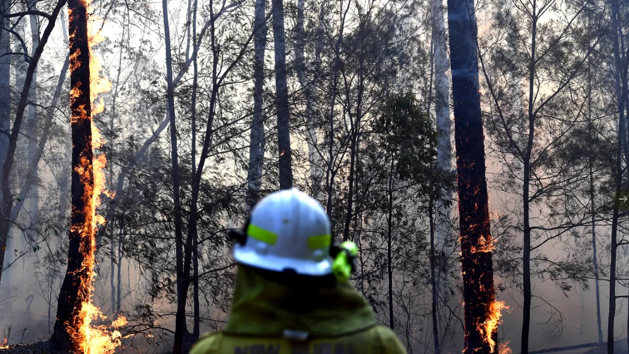 Creşterea economică globală ar putea scădea din cauza crizei climatice. SUA, cea mai puternică economie a lumii, nu scapă de efecte
