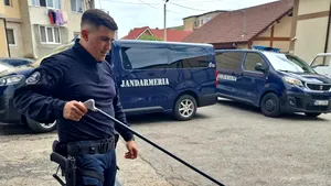 Două vipere au fost descoperite sub capota unei maşini şi lângă o pensiune
