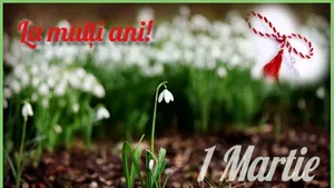 MESAJE DE 1 MARTIE 2019: Cele mai frumoase urări de mărţişor. Trimite-le celor dragi, alături de toată dragostea ta!