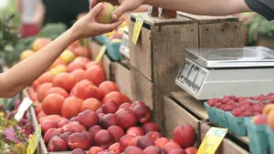 O industrie invizibilă susține alimentația globală. Ce arată un studiu realizat în 64 de țări